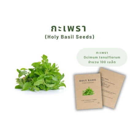 เมล็ดพันธุ์กะเพรา LETPOT ไทย ออแกนิค ฟาร์ม_2